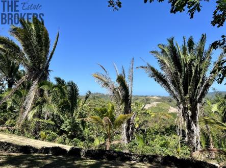 Lot 1 Bodden Bight Estate, Roatan