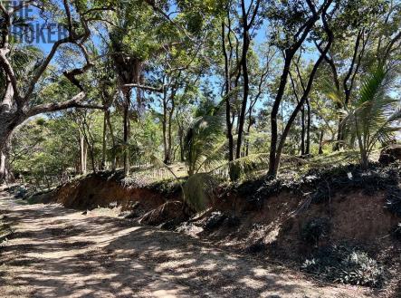 Lot 1 Bodden Bight Estate, Roatan