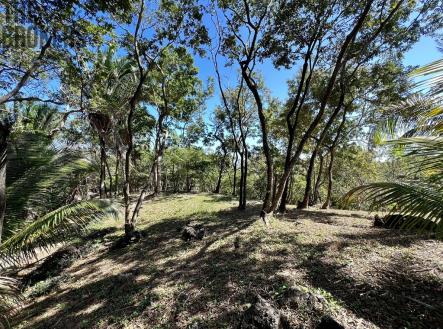 Lot 1 Bodden Bight Estate, Roatan
