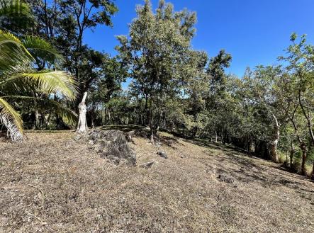 Lot 1 Bodden Bight Estate, Roatan
