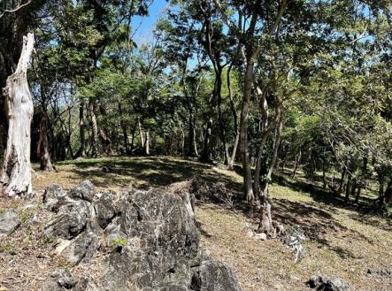 Lot 1 Bodden Bight Estate, Roatan