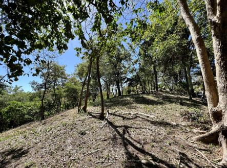 Lot 1 Bodden Bight Estate, Roatan