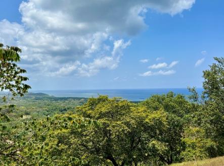 Sunny Hill#20 Diamond Hill Resort, Roatan