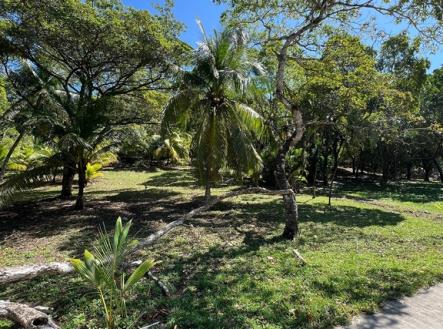 Paya Bay Beach Lot 10B Diamond rock, Roatan