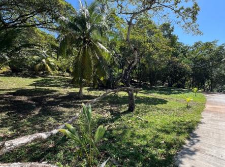 Paya Bay Beach Lot 10B Diamond rock, Roatan