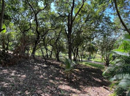 Paya Bay Beach Lot 10B Diamond rock, Roatan