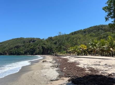 Paya Bay Beach Lot 10B Diamond rock, Roatan