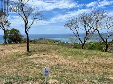 LOT 11 Aroha Estate, Roatan