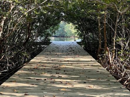 Lot S20 Terra Chula Resort, Roatan