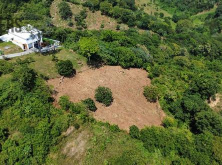 Lot#31  Coral View Village, Roatan