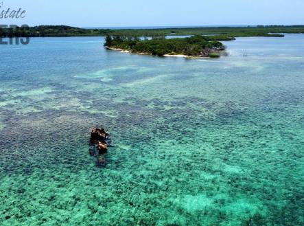 Bailey's Caye