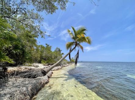 Bailey's Caye