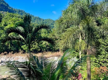 Prodej domu/vily, 4 080 m²