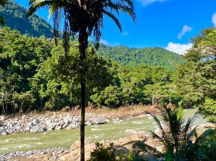 Villas at Pico Bonito