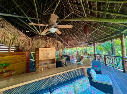 Villas at Pico Bonito