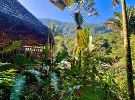 Villas at Pico Bonito
