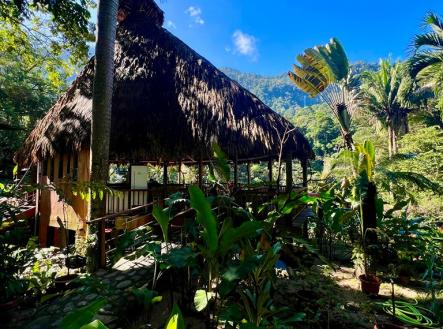 Villas at Pico Bonito