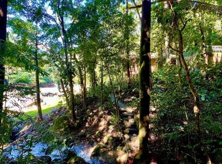 Villas at Pico Bonito