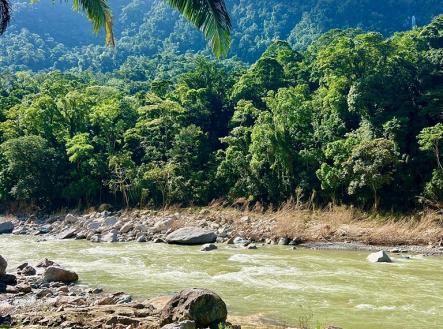 Villas at Pico Bonito