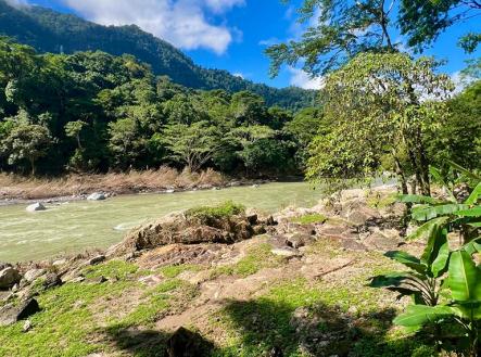 Villas at Pico Bonito