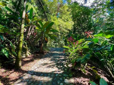 Villas at Pico Bonito