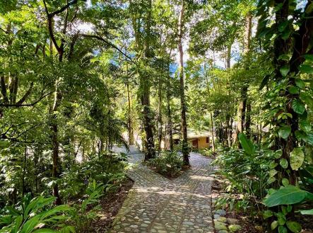 Villas at Pico Bonito