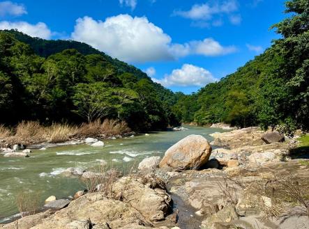 Villas at Pico Bonito