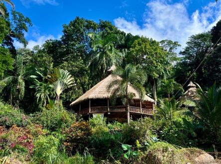 Villas at Pico Bonito