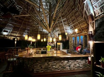 Villas at Pico Bonito