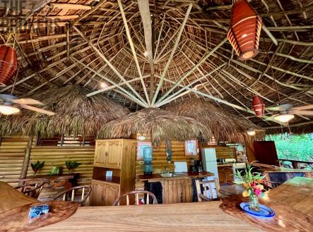 Villas at Pico Bonito