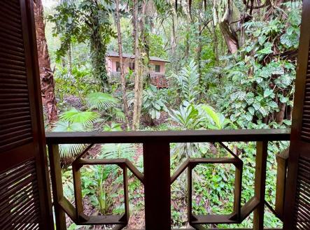 Villas at Pico Bonito