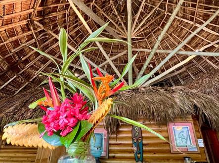 Villas at Pico Bonito