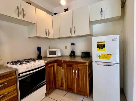 Villas at Pico Bonito