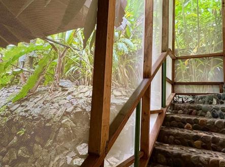 Villas at Pico Bonito