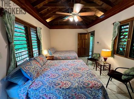 Villas at Pico Bonito