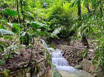 Villas at Pico Bonito