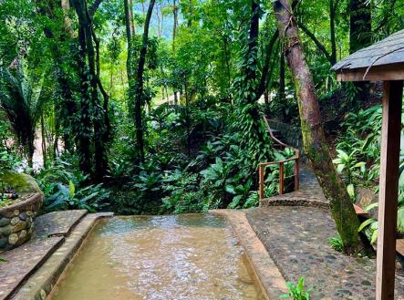 Villas at Pico Bonito