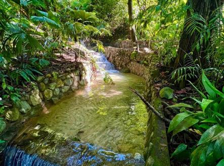 Villas at Pico Bonito