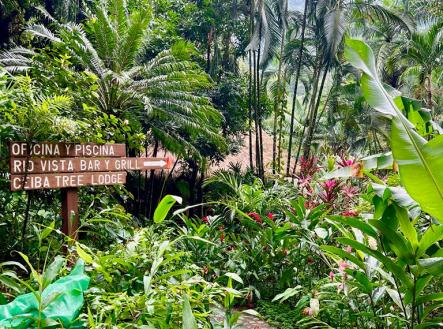 Villas at Pico Bonito