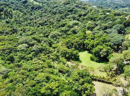 Punta Blanca, Lot 4
