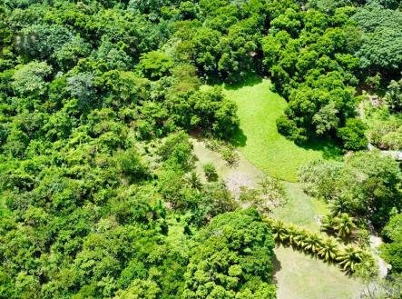 Punta Blanca, Lot 4
