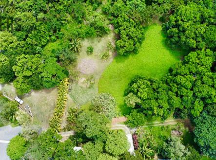 Punta Blanca, Lot 4