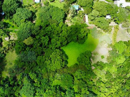 Punta Blanca, Lot 4