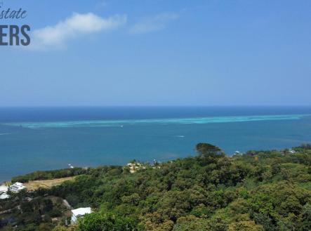 Orchid Casel de Paradise.