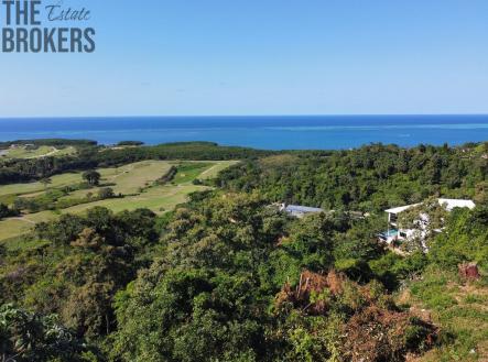 Lot #2 with Boat Slip White Hill, Coral View Village