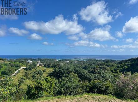 Lot #2 with Boat Slip White Hill, Coral View Village