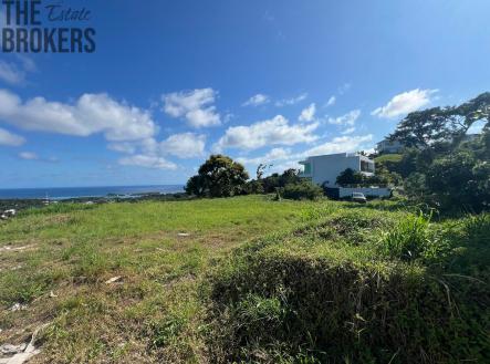 Lot #2 with Boat Slip White Hill, Coral View Village