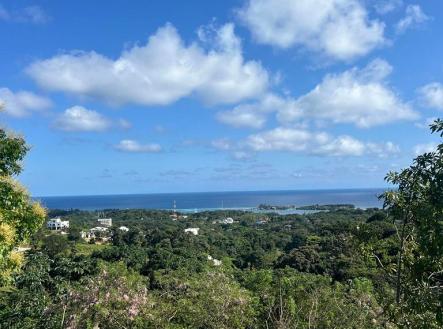 Lot #2 with Boat Slip White Hill, Coral View Village