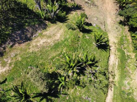 Falcon Valley Lot#7 Santos Guardiola, Roatan