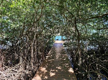 LUXURY 3BD & 3.5BT Home First Bight, Roatan